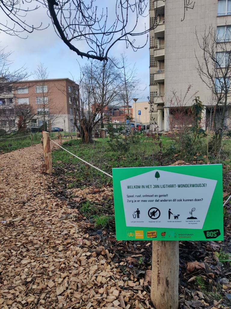 Welkom in het Jan Ligthart-Wonderwoudje